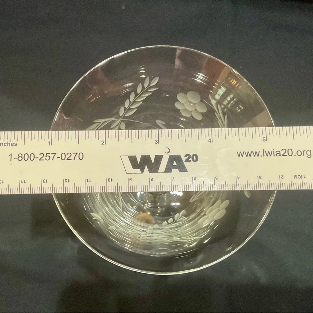 Colony Glass Vintage Etched “Danube” Champagne glass 6 inch